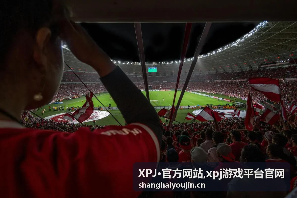 XPJ官方网站分类浏览封面图